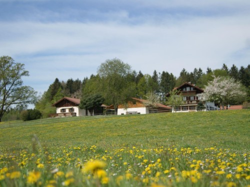 house-gallery