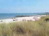 Udsigt over vand