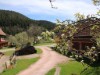 Aussen