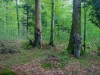 Aussen