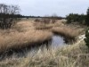 Blick über's Wasser
