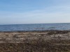 Blick über's Wasser