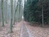 Aussen