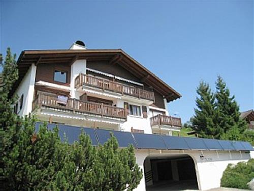 house-gallery