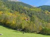 Aussen