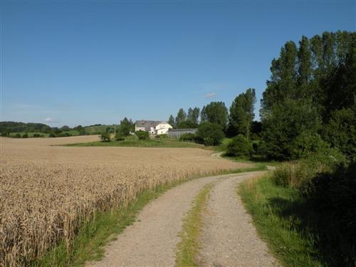 house-gallery