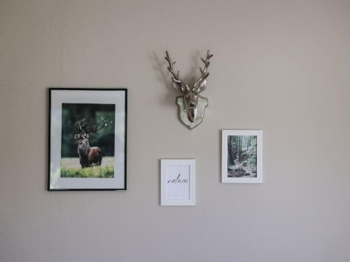 house-gallery