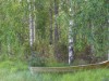 Innen