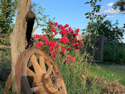 house-gallery