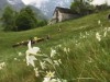 Aussen