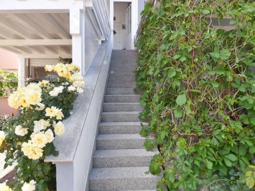house-gallery