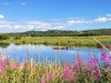 Blick über's Wasser
