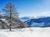 Aussen