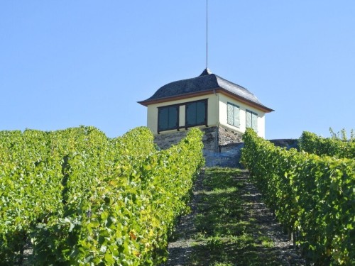 house-gallery