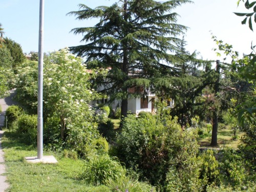 house-gallery