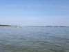 Udsigt over vand