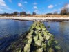 Blick über's Wasser