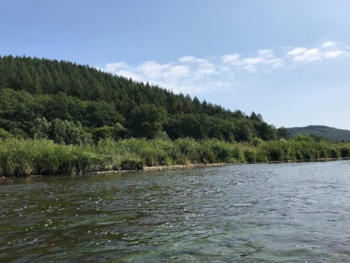 house-gallery