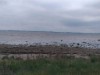 Blick über's Wasser