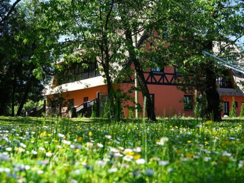 house-gallery