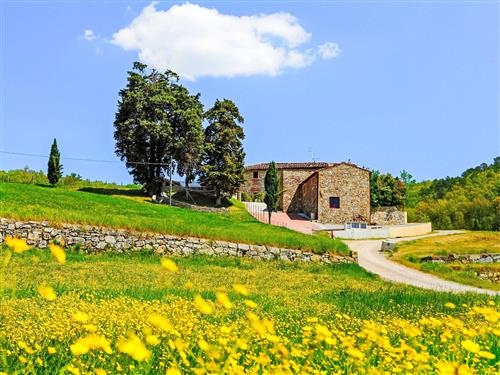house-gallery