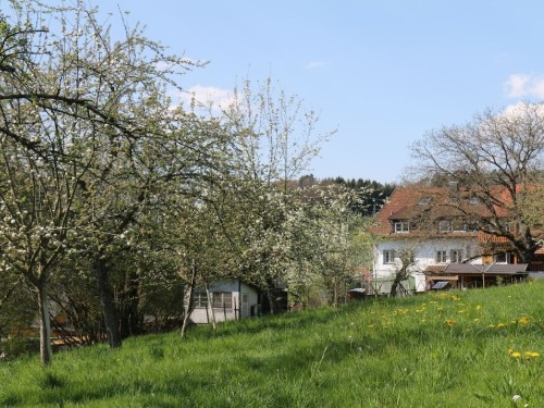 house-gallery