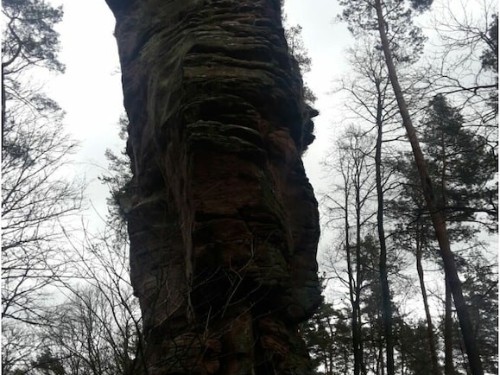 house-gallery