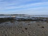 Blick über's Wasser