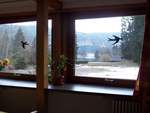 house-gallery