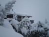 Innen