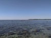 Blick über's Wasser