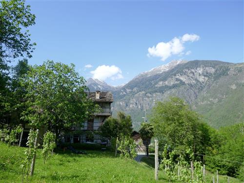 house-gallery
