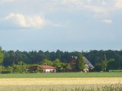 house-gallery