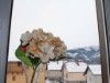 Inde