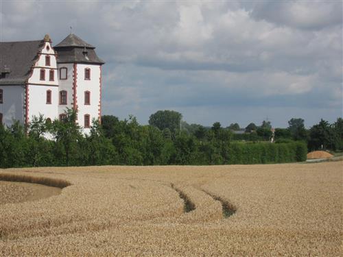 house-gallery