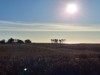 Aussicht