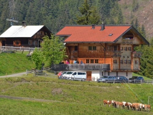 house-gallery
