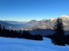 Aussen