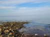 Blick über's Wasser