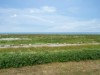 Aussicht
