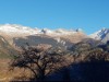 Ude