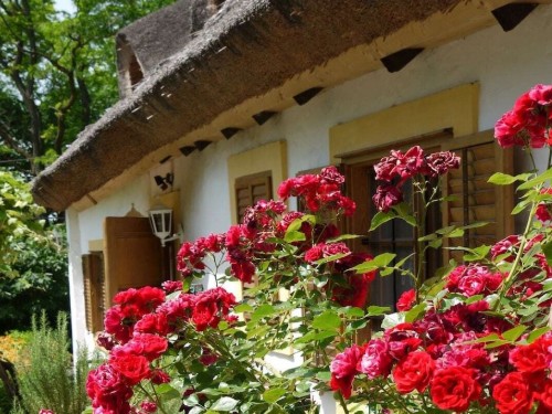 house-gallery