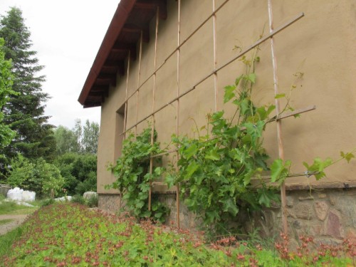 house-gallery