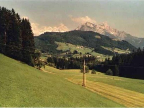 house-gallery
