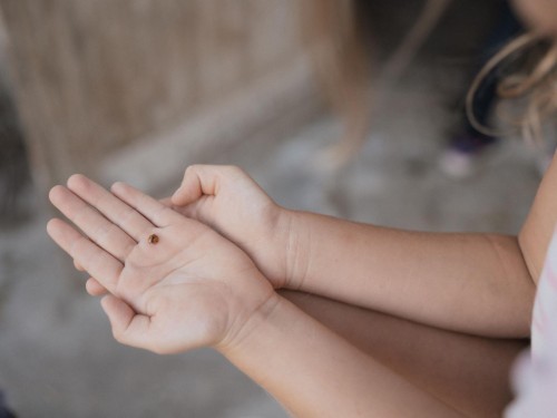house-gallery
