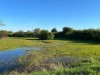 Blick über's Wasser