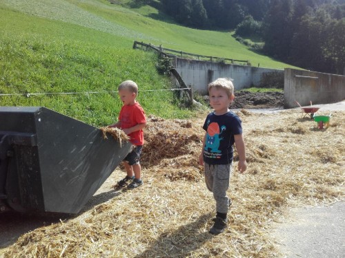 house-gallery