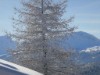 Innen