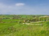 Ude