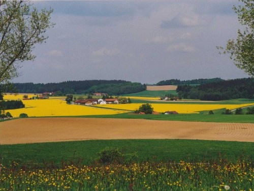 house-gallery